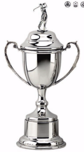 12'' silver plate